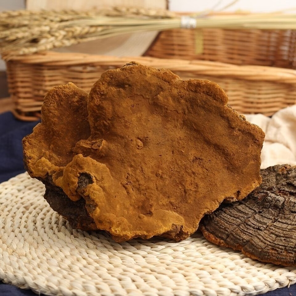 【金边桑黄】西藏黄金金边桑黄天然野生整只灵芝各种灵芝切片 50克