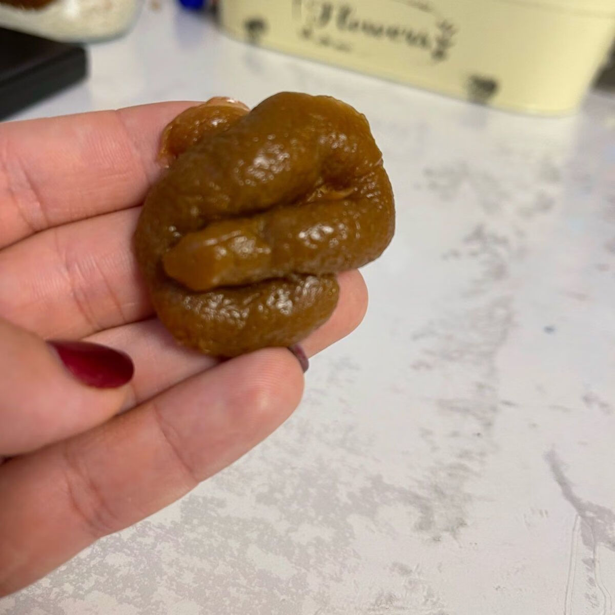 整蛊整人假便发泄大便仿真软便便恶心搞怪沙雕恶搞礼物假粑粑玩具