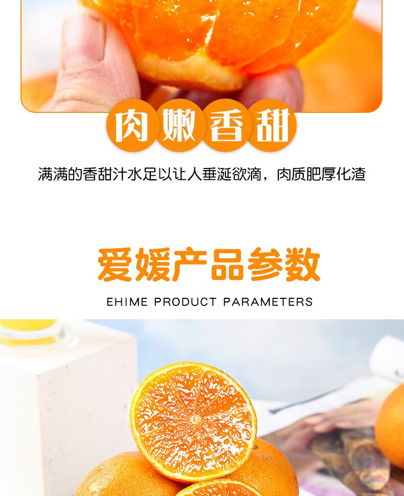 爱媛（定制改）_12.jpg