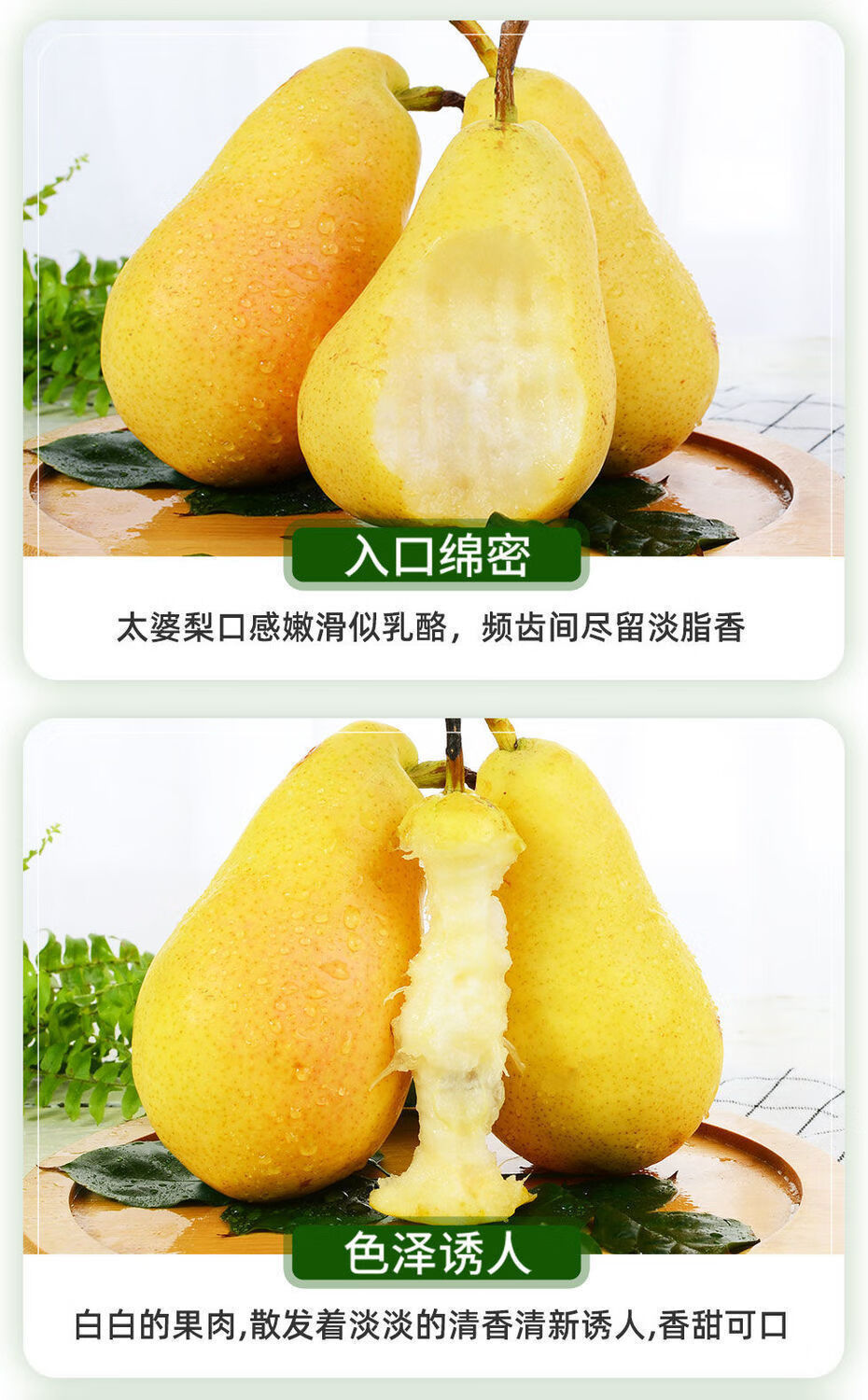 爵妃 太婆梨正宗甘肃香蕉梨水果现摘大头梨当季新鲜梨子整箱9斤 9斤
