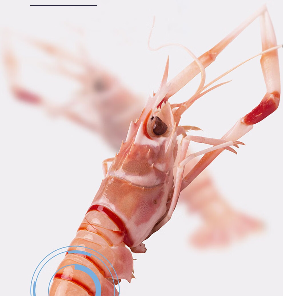 易鲜丰刺身鳌虾原装鲜活速冻海鲜水产冰镇大虾南极斯干比虾刺身英国