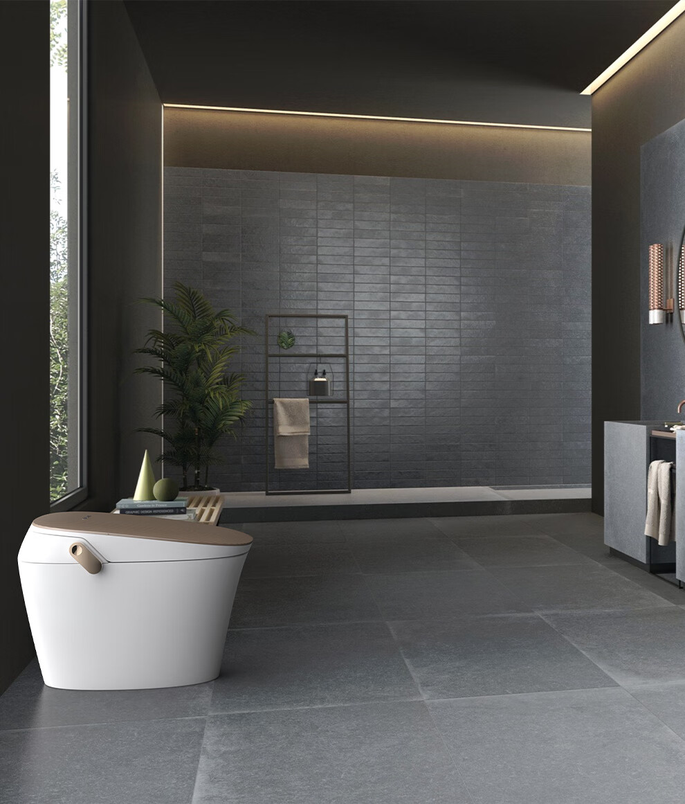 seewin/西唯 智能马桶无水箱即热水洗座圈加热暖风烘干一体式家用坐