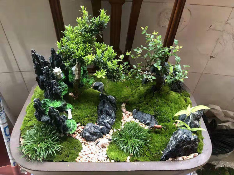 芊阙轻奢芊阙青龙石小块酸洗精选微观草缸造景石自然苔藓缸迷你型摆件
