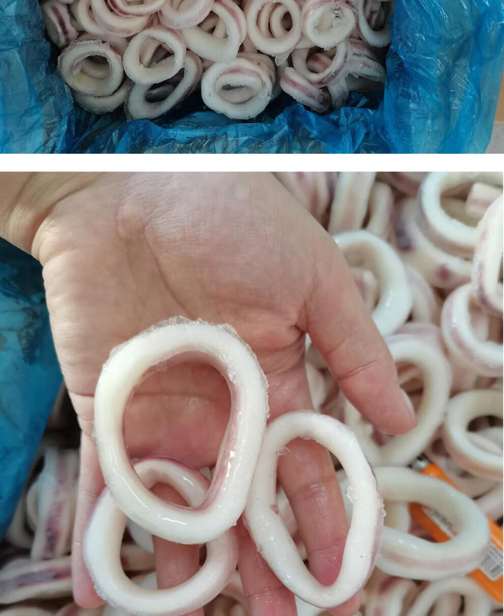 二三王牛 鱿鱼圈 生鲜冷冻目鱼圈鱿鱼花海鲜鱿鱼圈 3斤装 500g/包