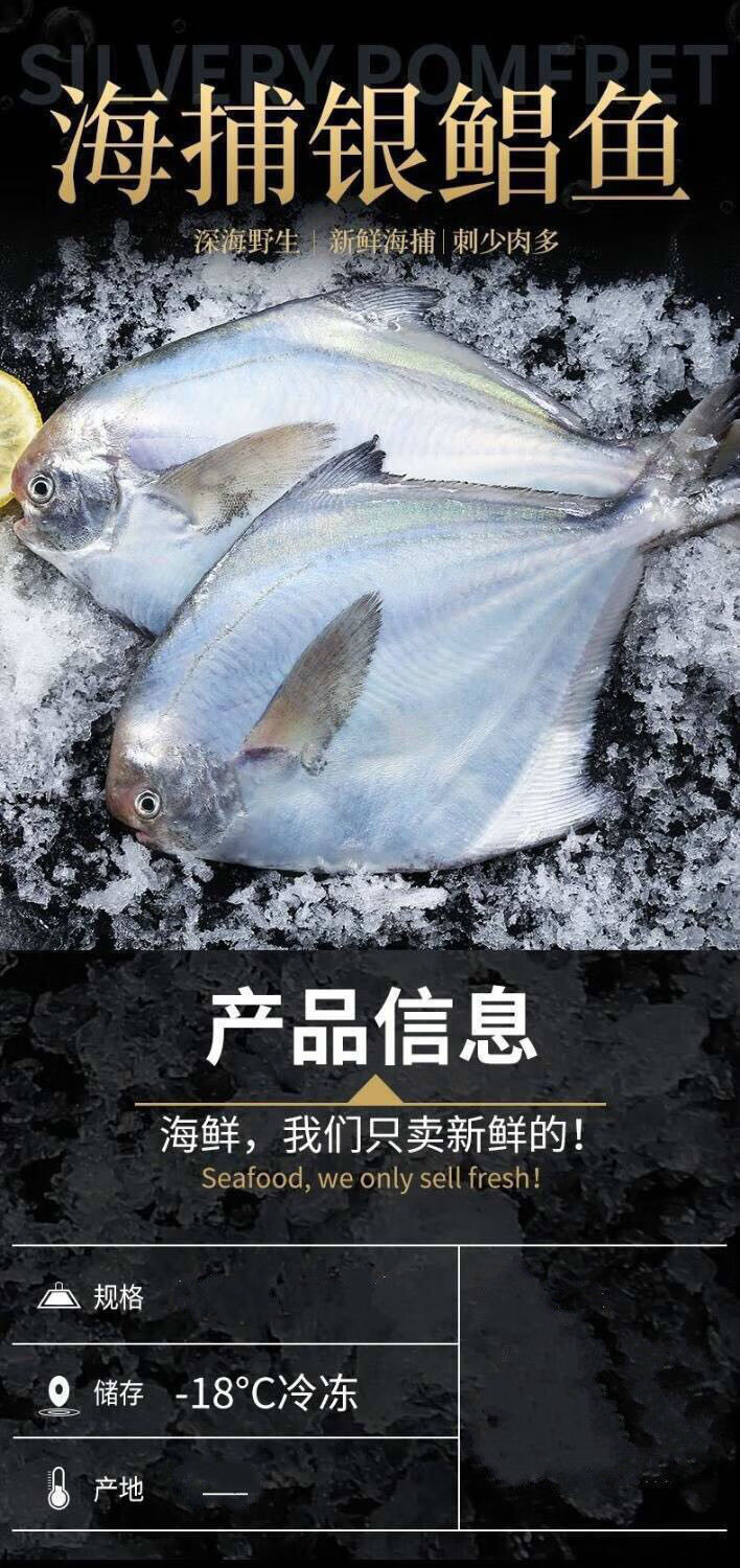 舟山银鲳鱼6斤白鲳鱼扁平鱼新鲜冷冻一箱批发海鲜水产中号6斤主推款