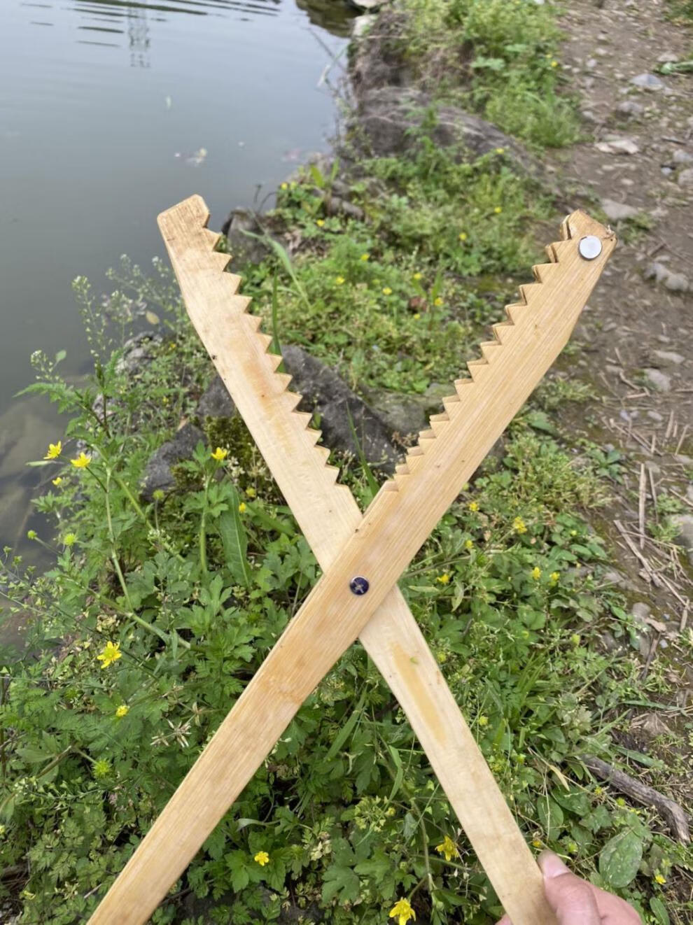 鱼夹钳夹鳝鱼捉黄鳝夹钳善鱼夹子抓泥鳅竹子竹夹子黄鳝夹 竹制夹 60cm