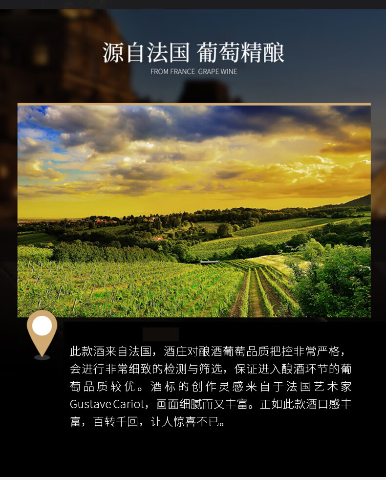 法国原瓶进口帝菲堡神树干红葡萄酒750ml单支