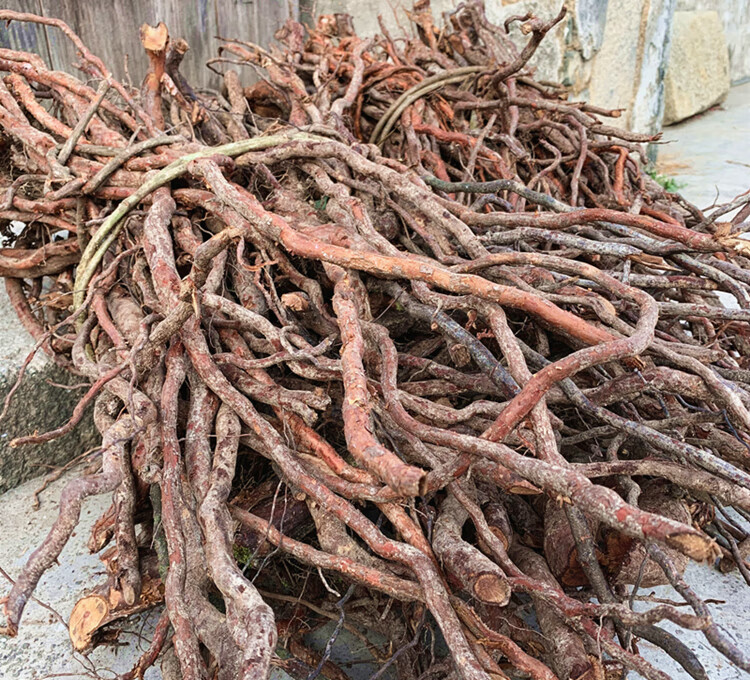 玉泉韵金樱根 纯根 金英子根 金樱蔃 新鲜金樱子根 脱骨丹500克晒干