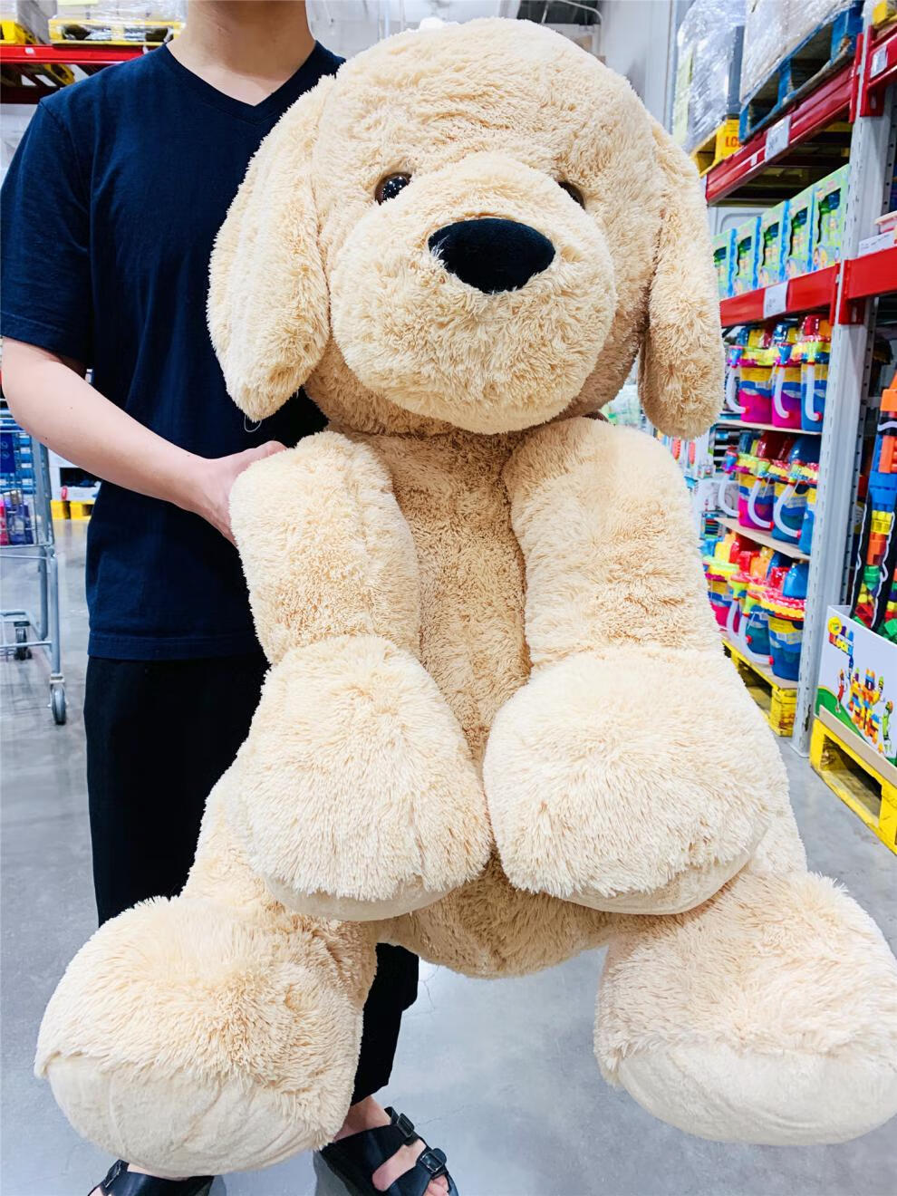 山姆狗狗玩偶毛绒玩具可爱大号抱枕睡觉抱礼品娃娃超大狗公仔动物网红