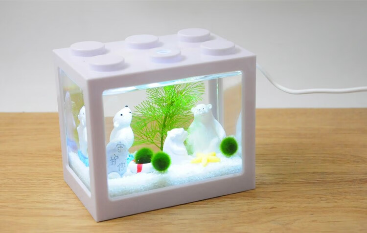 marimo海藻球微景观生态缸斗鱼缸桌面迷你植物创意diy圣诞节礼物 大号