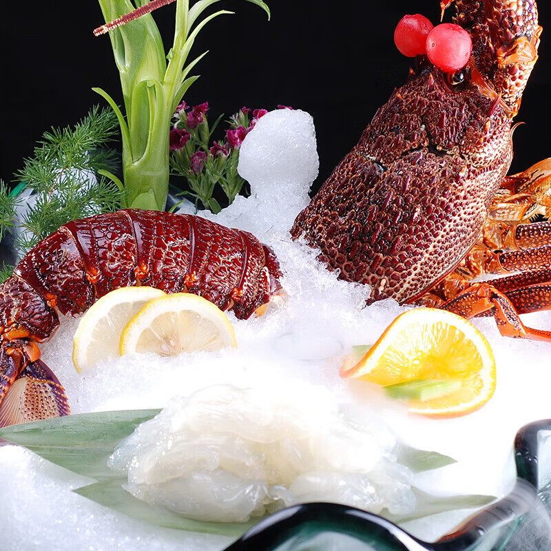 1950g活澳龙澳大利亚大龙虾奥龙龙虾整只【图片 价格 品牌 报价】