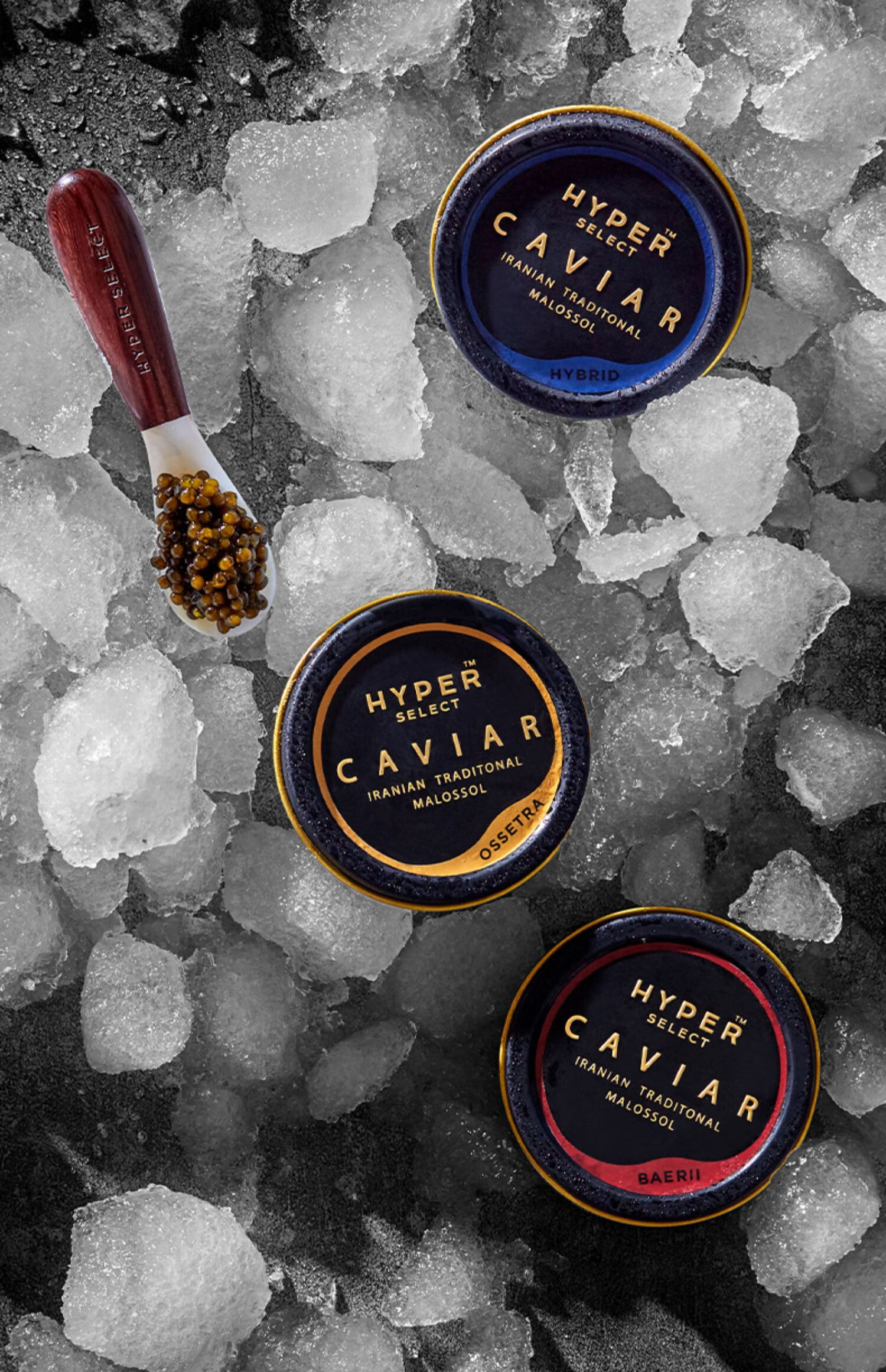 黑珀冰川水俄罗斯鲟鱼子酱即食黑鱼籽酱罐头10g/罐caviar酒店西餐品牌