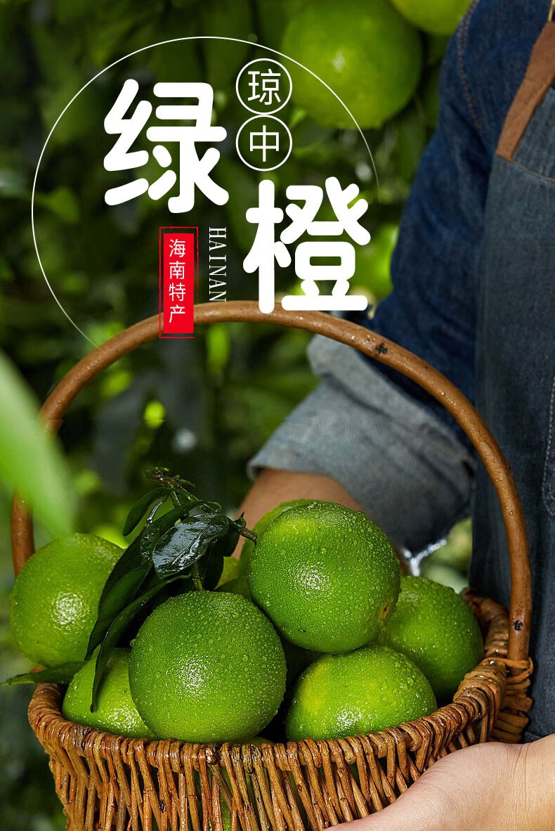 正宗海南琼中绿橙甜橙5斤/10斤一级大果绿皮橙子生鲜 热带新鲜当季