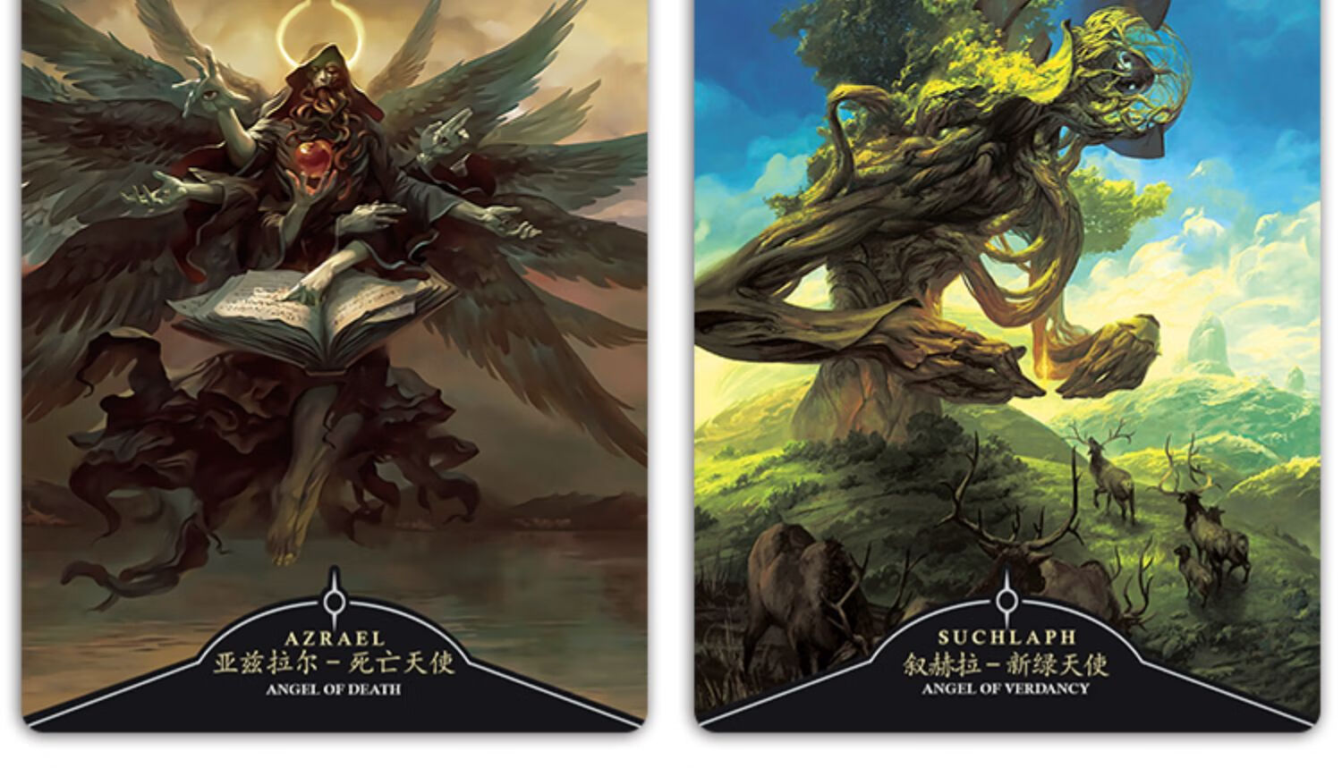 天使之境神谕卡中文版angeloraclecards入门卡牌 动物精神神谕卡