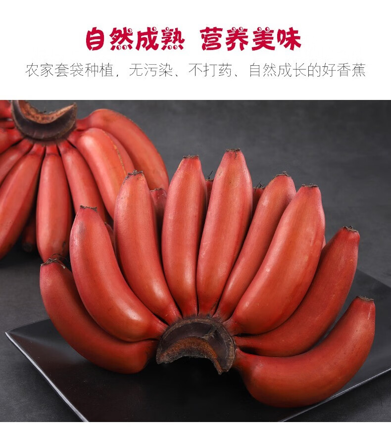 福建特产红皮香蕉美人蕉产地直发新鲜水果生鲜红美人香蕉45斤