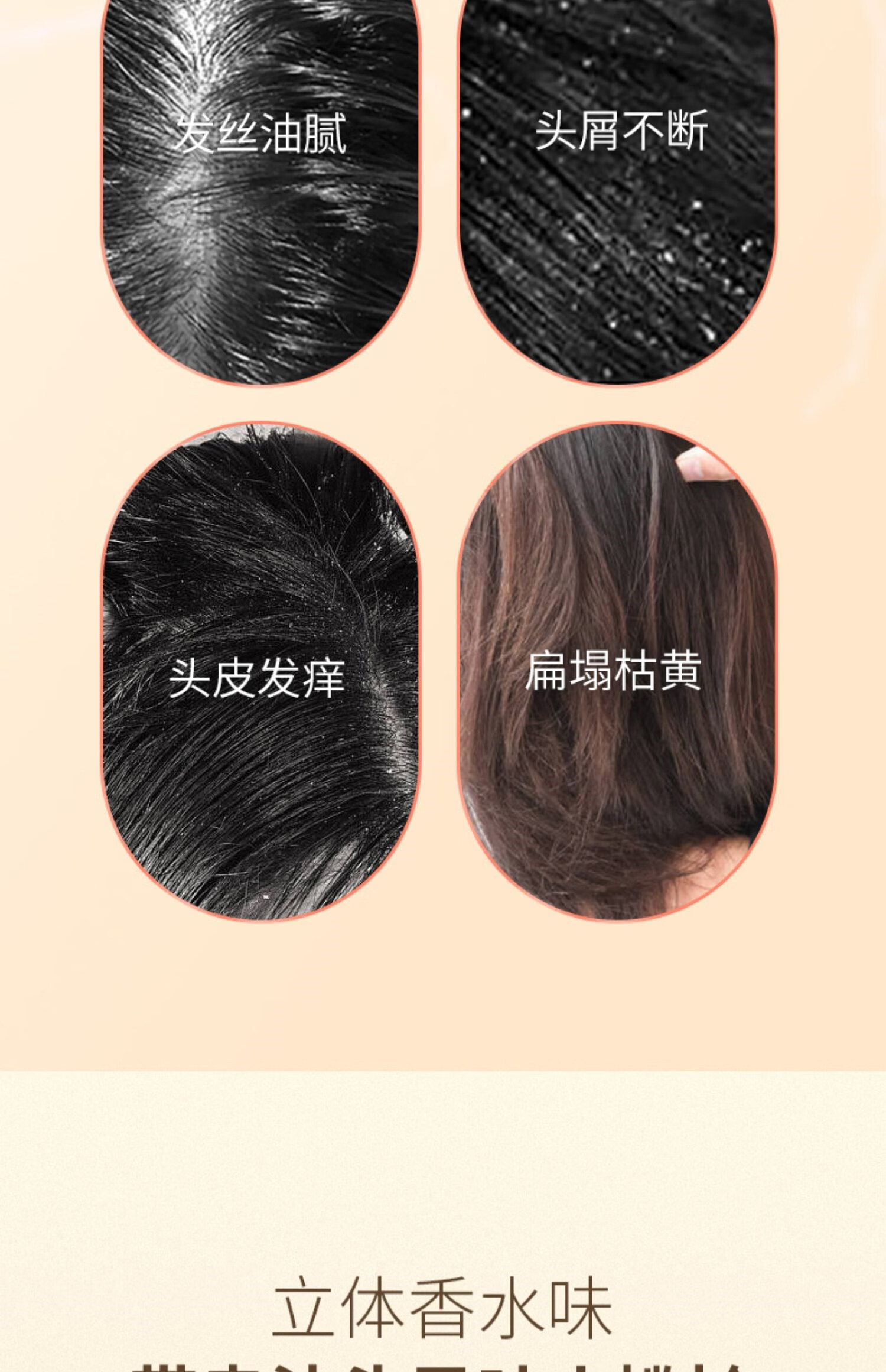 ace6ba58ca5b3c54.jpg