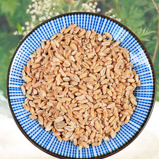 新货浮小麦中药材小麦茶浮麦茶浮小麦止汗茶止汗出汗