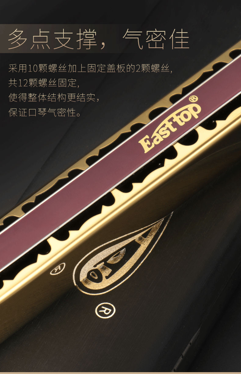 德国进口高端28孔口琴成人演奏重音复音abcdfg#调专业 28孔演奏级