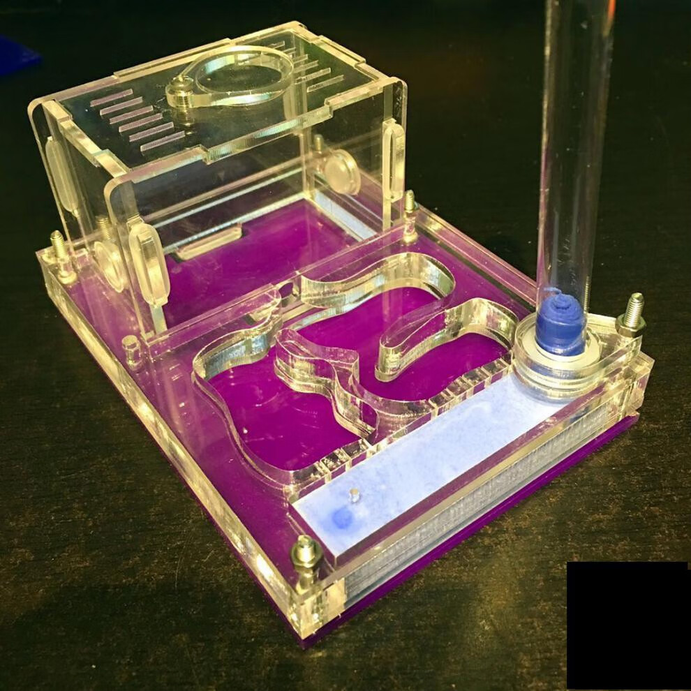 新品蚂蚁城堡蚂蚁别墅蚂蚁巢亚克力巢平面巢蚂蚁工坊蚂蚁宠物纽备丽提