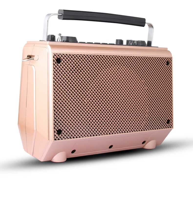 先科广场舞音响音箱户外蓝牙家用k歌带显示屏无线话筒便携式小型手提