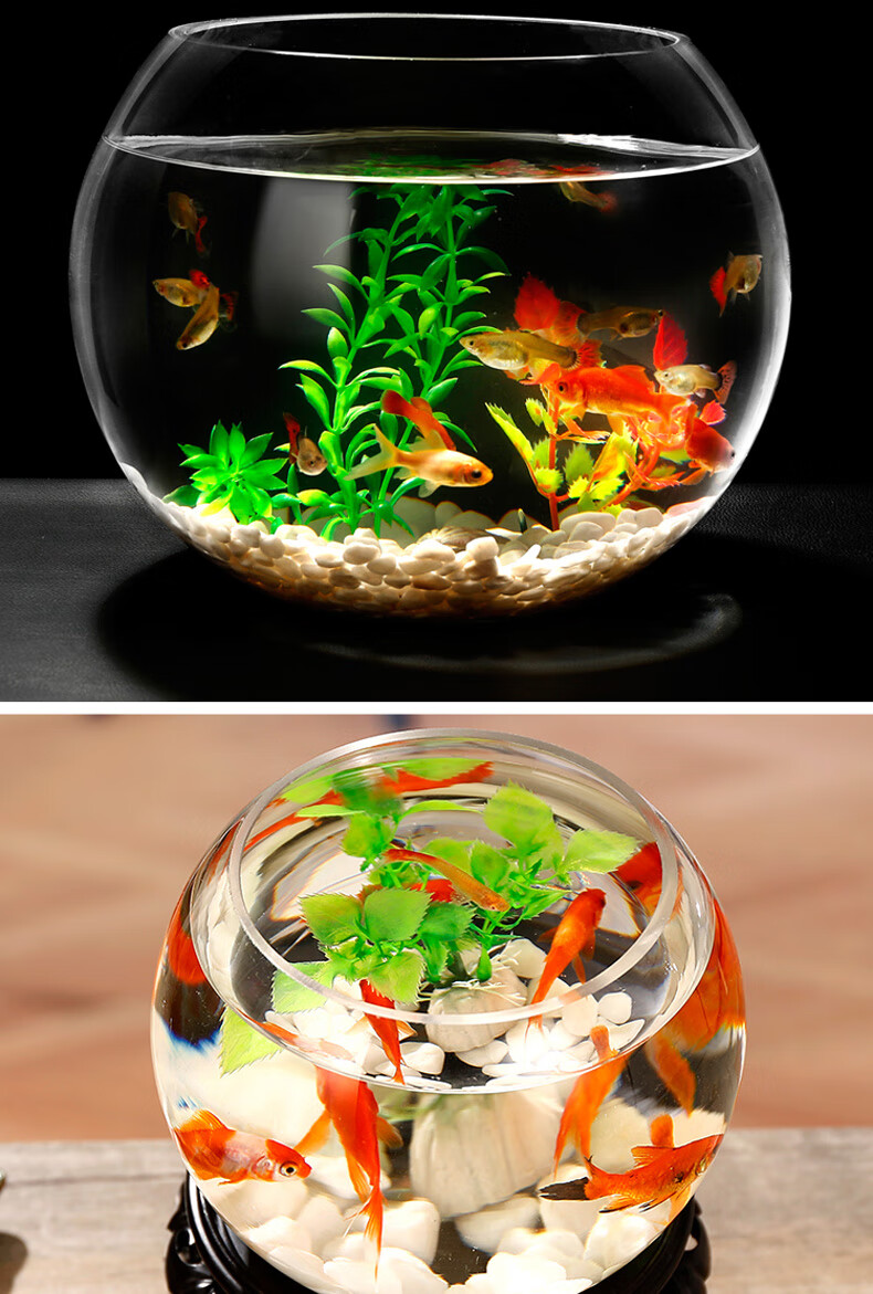 金鱼缸玻璃生态鱼缸水族箱客厅小型桌面乌龟缸创意迷你家用小鱼缸jy