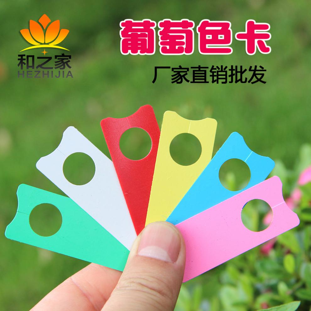 花姬葡萄记号牌葡萄标记卡瓜果标记牌西瓜标记牌甜瓜分批色卡绿色1000