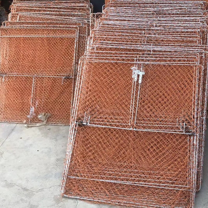 德梵帝抖音同款自动抓鸡抓家养鸽子神器只进不出自动收网户外网具捕鸽