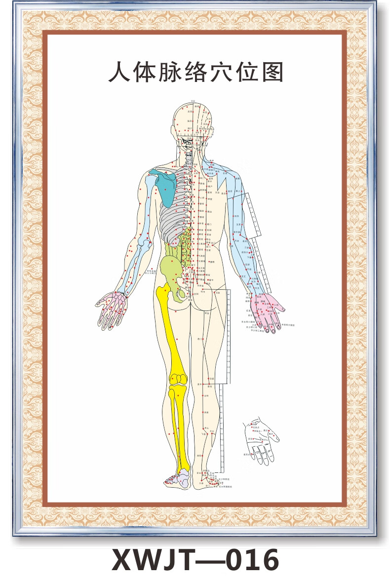 女性艾灸拔罐推拿足底按摩足療反射區牆貼海報xwjt005kt廣告板40x60cm