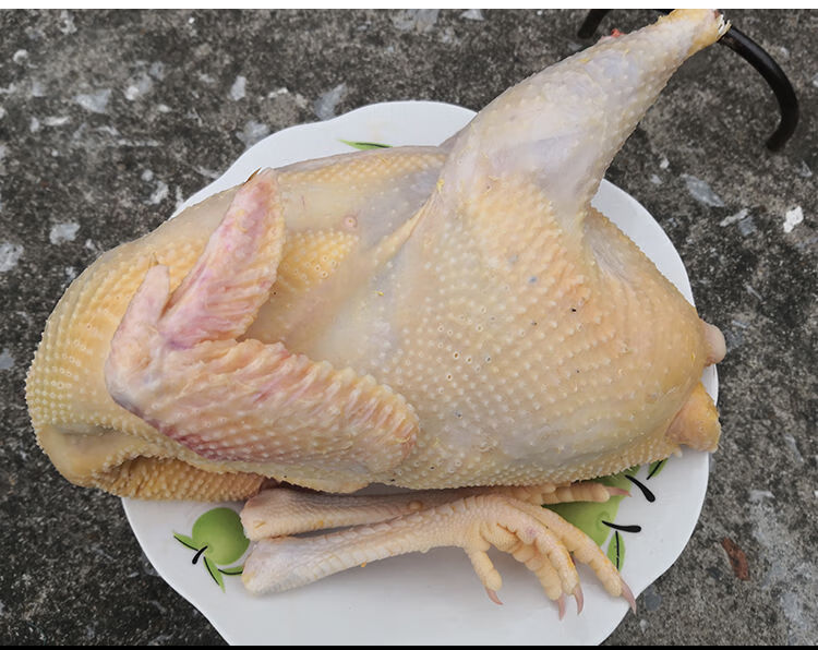 安徽农家正宗散养土鸡2年笨鸡走地鸡现杀黄油老母鸡新鲜姒桀老母鸡2只