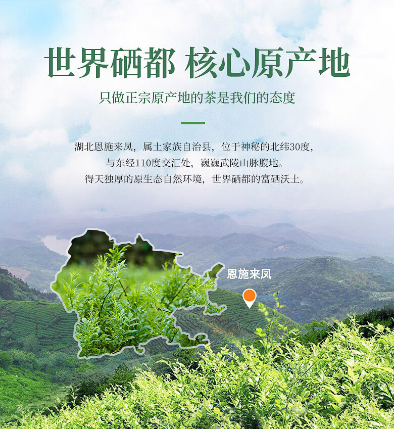恩施藤茶510g湖北来凤稀滕腾莓茶富硒龙须小嫩芽莓茶霉茶龙须芽尖