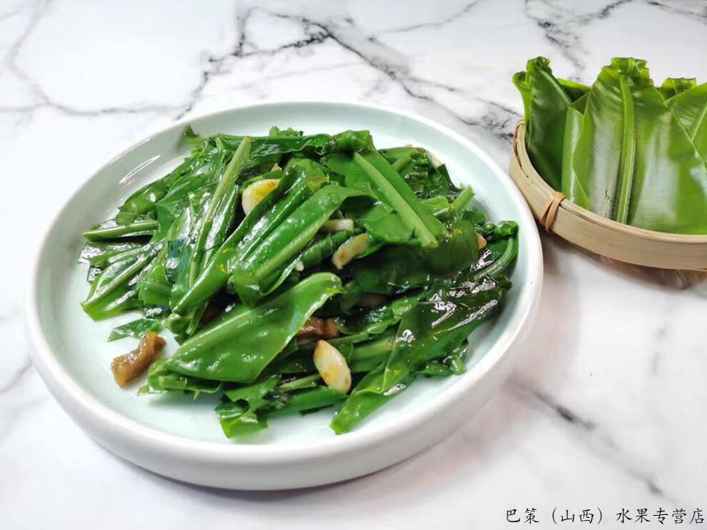 (顺丰冷链/现货速发)新鲜山苏叶 山苏菜 鸟巢蕨 西餐菜 酒店特色菜山