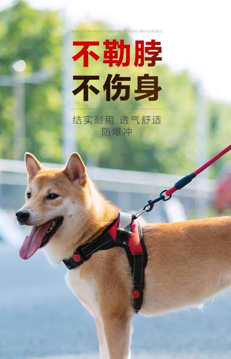 q金毛狗鏈子胸揹帶狗狗牽引繩大型犬牽狗繩子中型犬拉布拉多栓狗繩卡