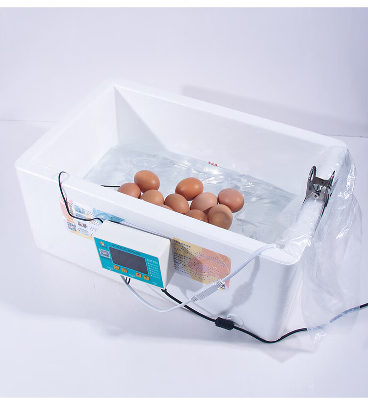 孵化器孵蛋器孵化机加厚双封水床孵化器孵化机箱小鸡鹦鹉水袋自制家用