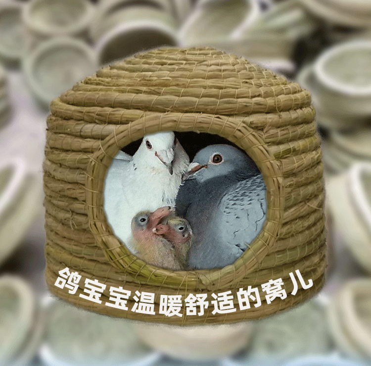 鴿子窩城堡鴿巢窩鴿子窩草窩鵪鶉窩玄鳳鸚鵡窩鳥窩保暖草編鳥巢孵蛋