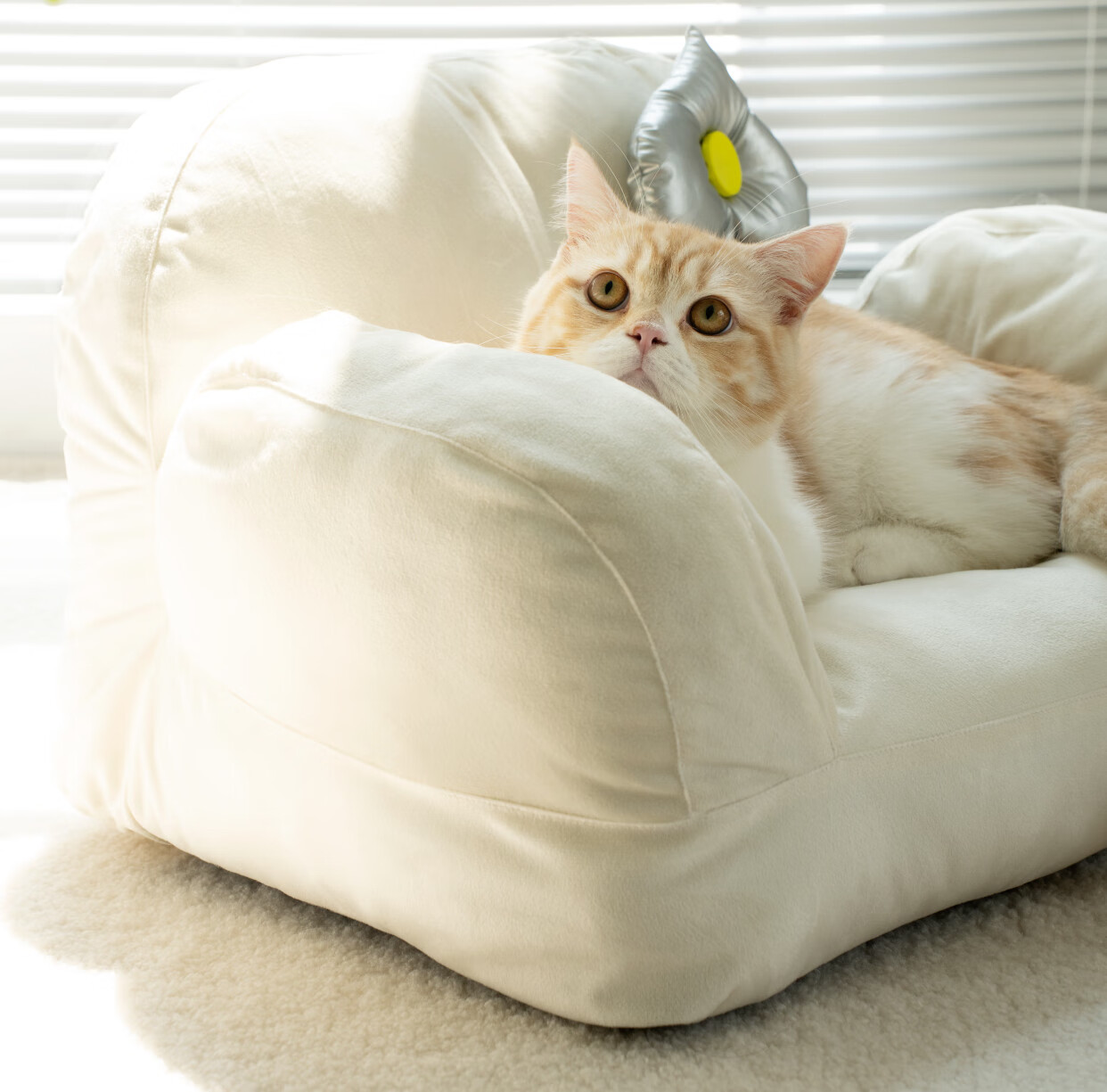 猫咪沙发猫窝冬天保暖猫床宠物床睡觉窝垫宠物用品小猫窝 黑白棋盘格