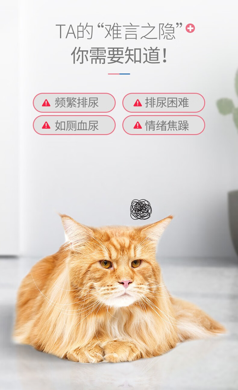 麦德氏in Kat猫用蔓越莓泌尿安猫咪利尿通速尿利尿猫咪营养品保护猫咪泌尿道健康15g 15g 图片价格品牌报价 京东