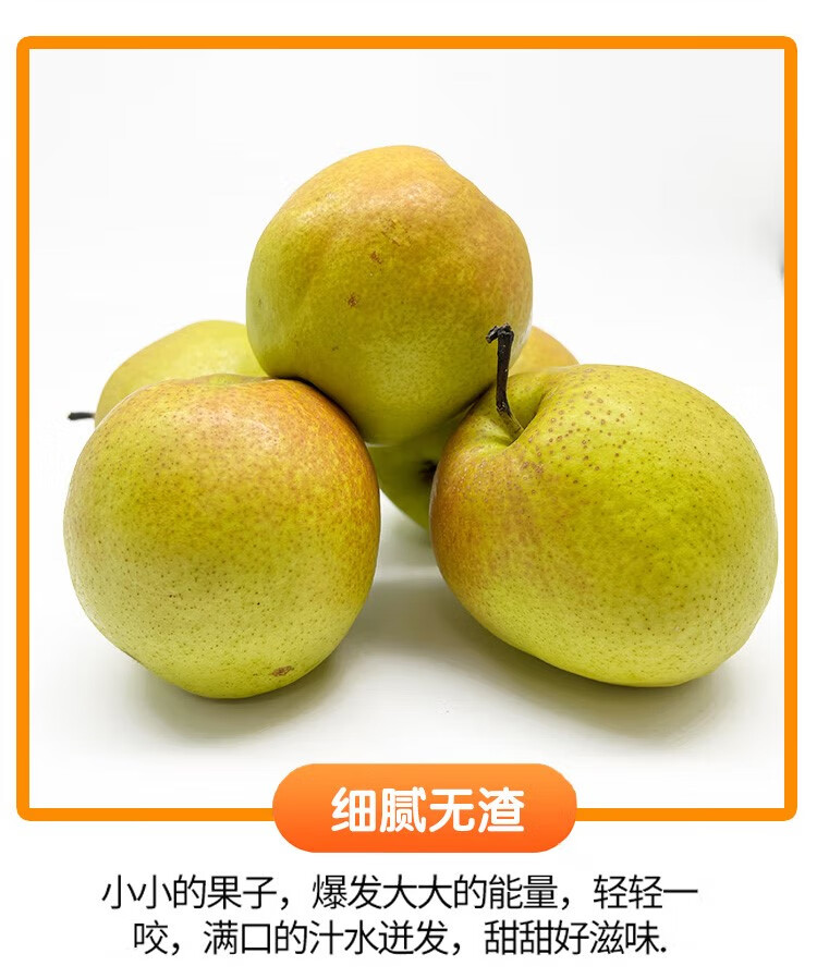 正宗山西玉露香梨隰县脆甜新鲜水果梨子10斤礼盒特级大果顺丰 1g 9斤
