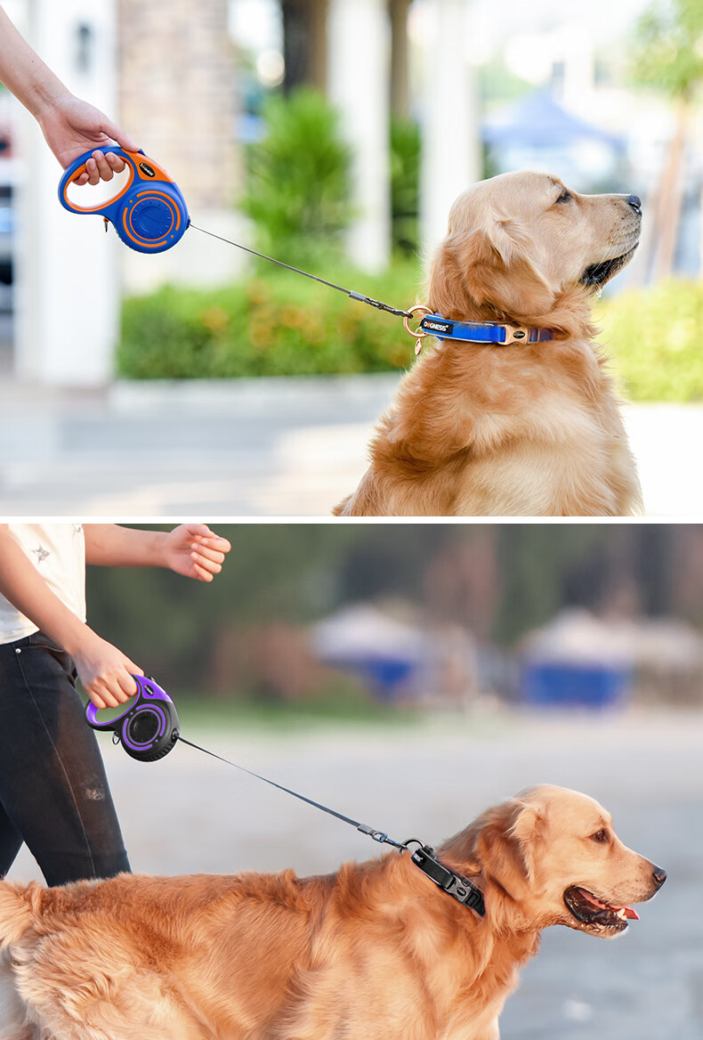 多尼斯狗狗牵引绳小中大型犬自动伸缩泰迪宠物遛狗绳狗链子金毛绿色