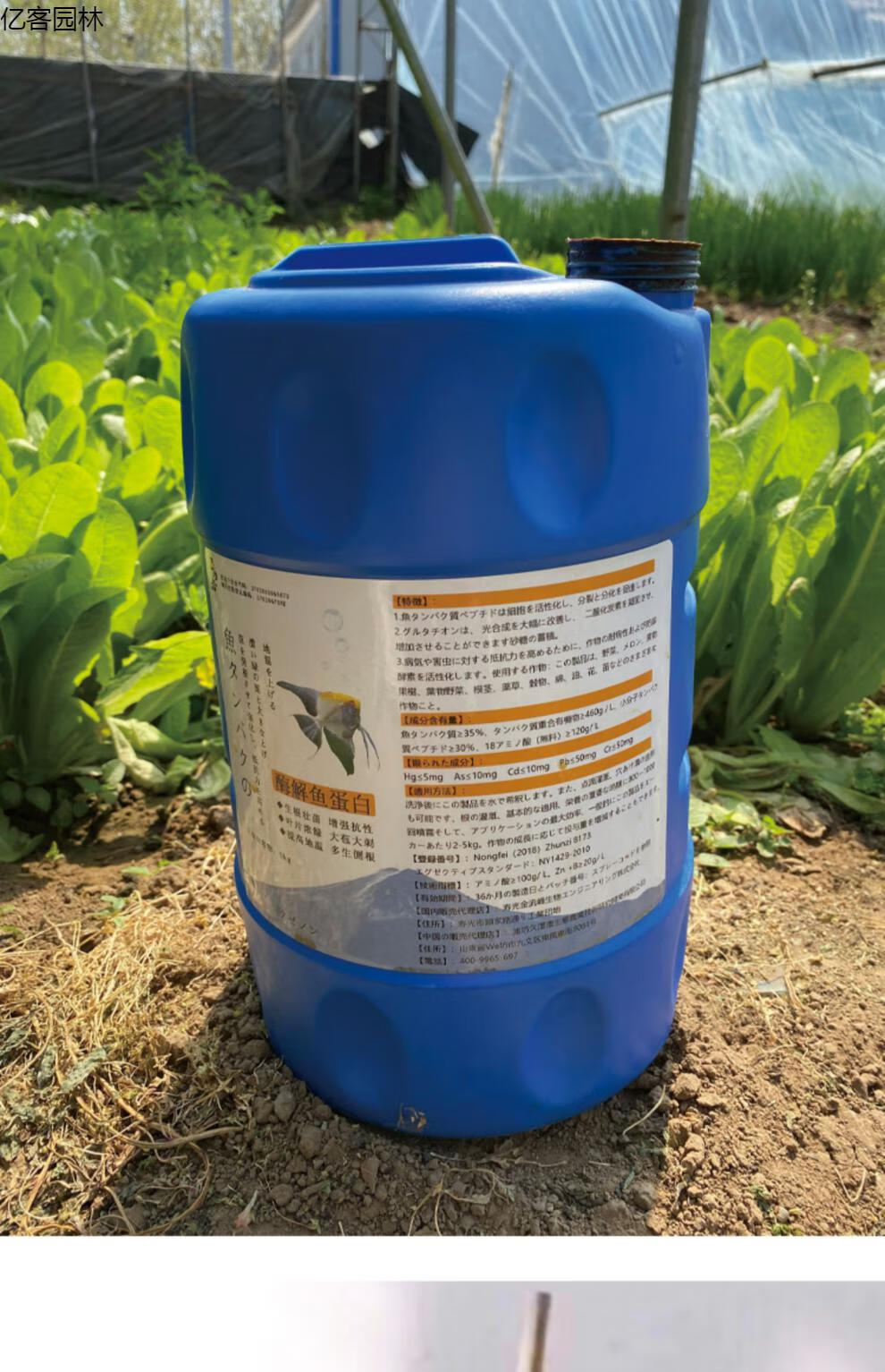 鱼蛋白水溶肥氨基酸叶面肥生根壮苗剂果蔬通用日本原装进口10桶