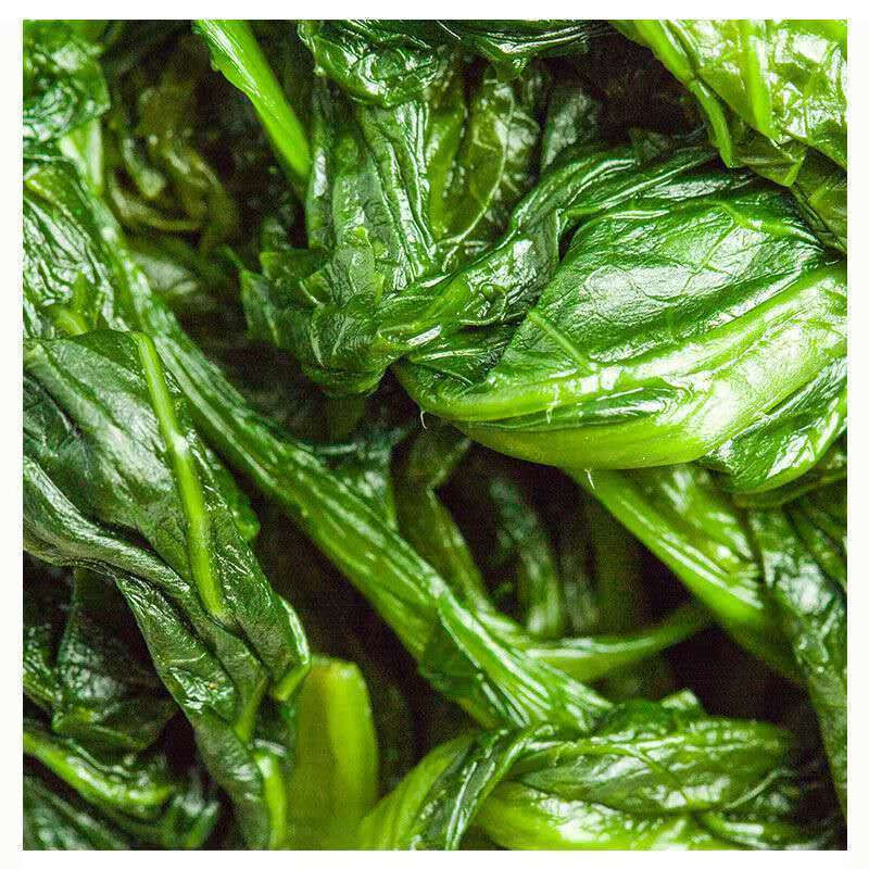 东北雪里红 精选雪里红腌制 新鲜无添加 炖炒 做馅下饭小菜 1斤(500g)