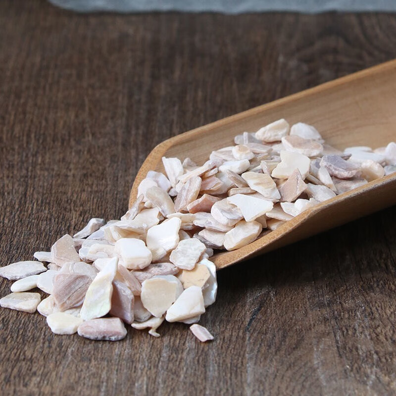 同仁堂 珍珠母中药材500g 珍珠母中药 珍珠母 真珠母 明珠母 蚌壳【图