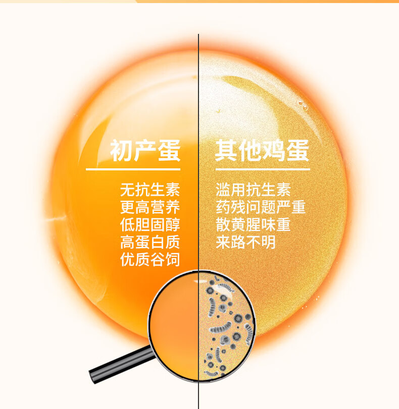 德青源 谷物饲养无抗生素初产蛋 1.48kg/40枚 图7
