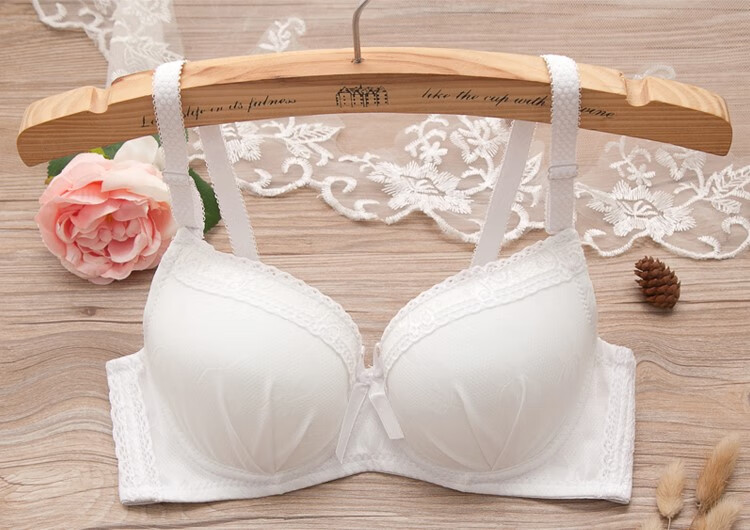 日系可爱少女文胸有钢圈小胸聚拢高中生大学生内衣中模杯胸罩薄款 881