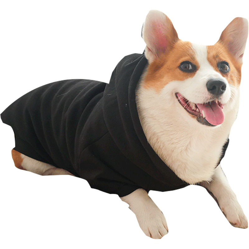 innopet 柯基犬衣服春秋薄款小型中型犬秋季防掉毛宠物冬天卫衣狗狗