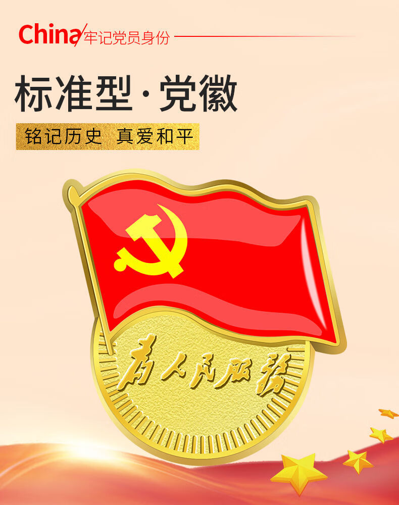 标准型党徽定做别针式胸针团徽徽章员胸章为人民服务 标准党徽别针款5