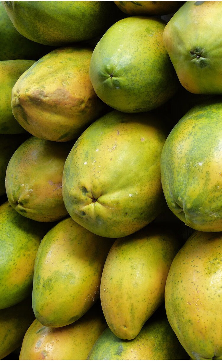 农之子 水果木瓜种子树苗 红妃木瓜种子 10粒【图片 价格 品牌 报价】