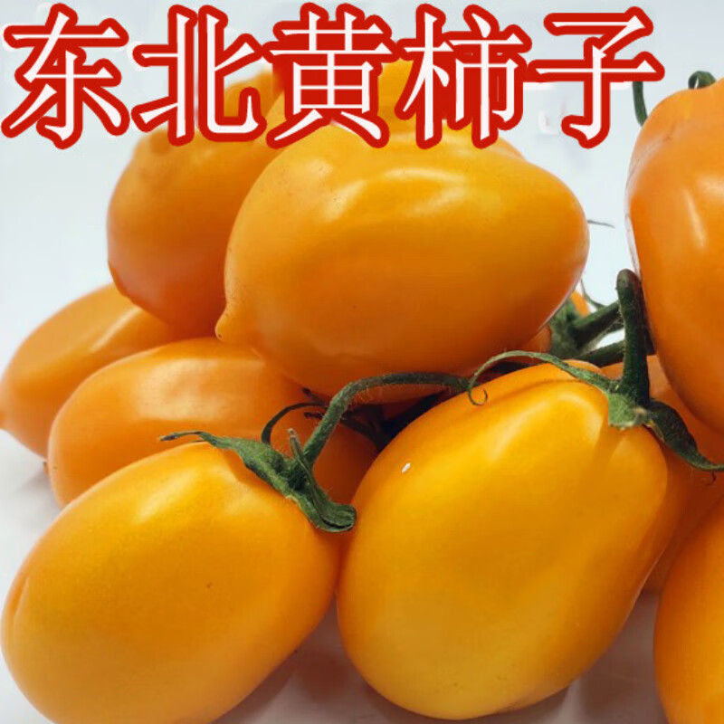 东北农家小黄柿子西红柿串黄圣女果黄罗曼农家自种新鲜蔬菜 2斤【图片