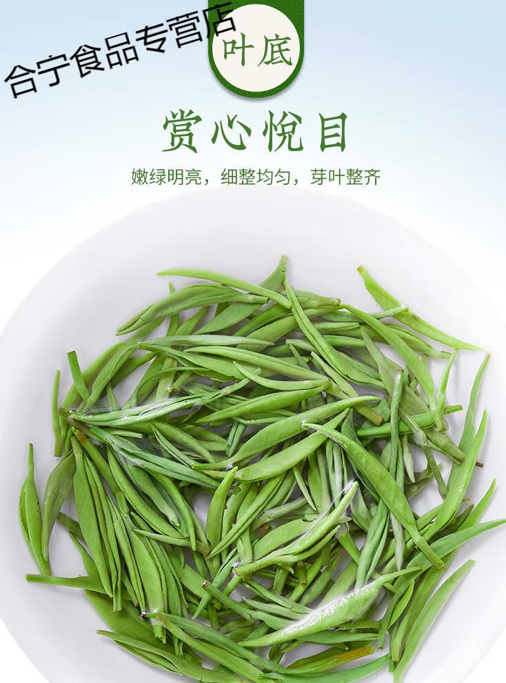 毛尖茶叶春茶信阳新茶雨前嫩芽绿茶手工芽茶散装250g