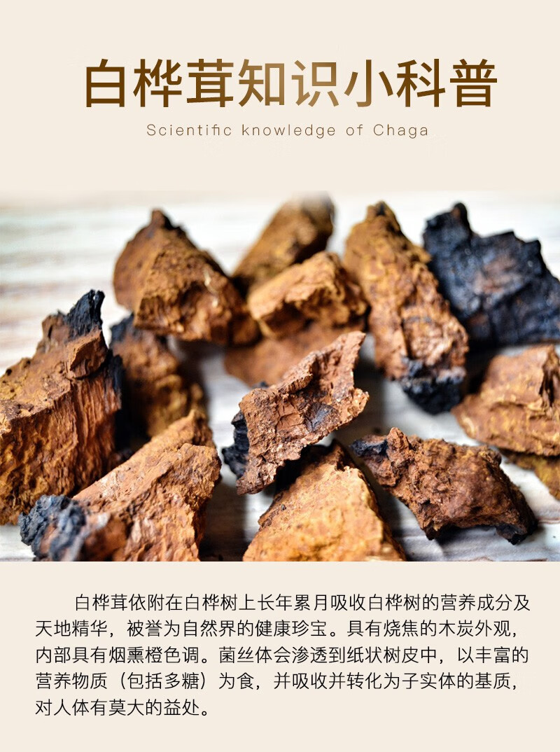 德国加拿大生肽康低血糖 桦树茸精粉胶囊白桦茸精片1瓶【图片 价格