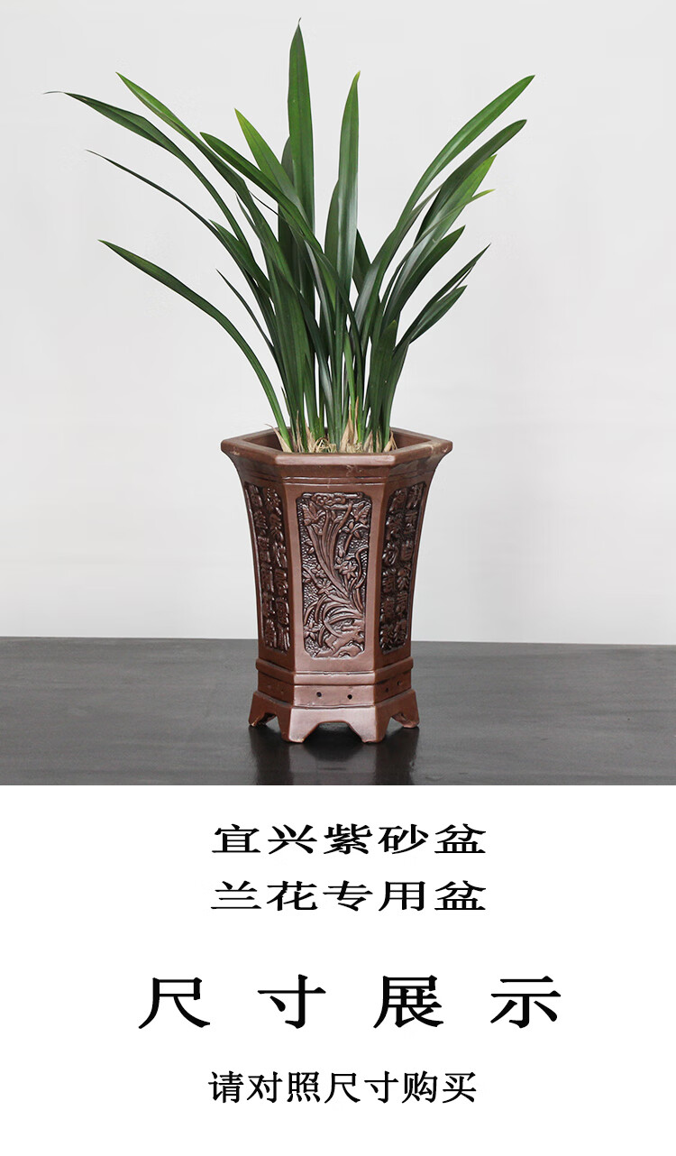 花盆陶瓷大号清仓特价宜兴紫砂兰花盆专用盆浮雕六角六方兰草透气双线